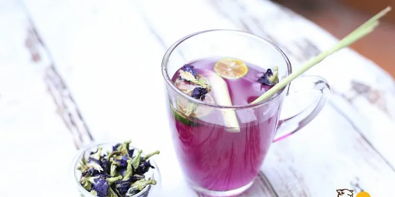 Cách giảm cân bằng trà hoa đậu biếc và tắc, sả, mật ong