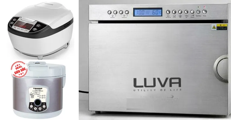 Mua máy làm tỏi đen ở đâu? Gía bao nhiêu?