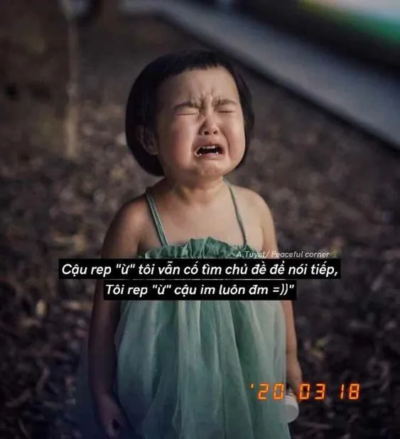 101+ Hình ảnh hài hước về tình yêu Việt Nam (cười không nhặt được mồm)