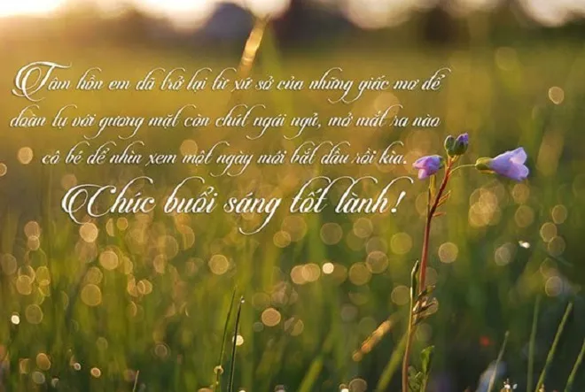 Tình yêu được vun đắp từ những điều nhỏ nhặt