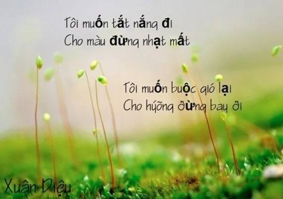 Thơ tình lãng mạn