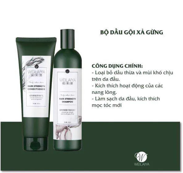 Dầu gội gừng kích mọc tóc Weilaiya Ginger Shampoo