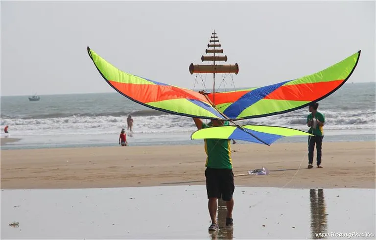 Diều sáo cánh cung ấn tượng