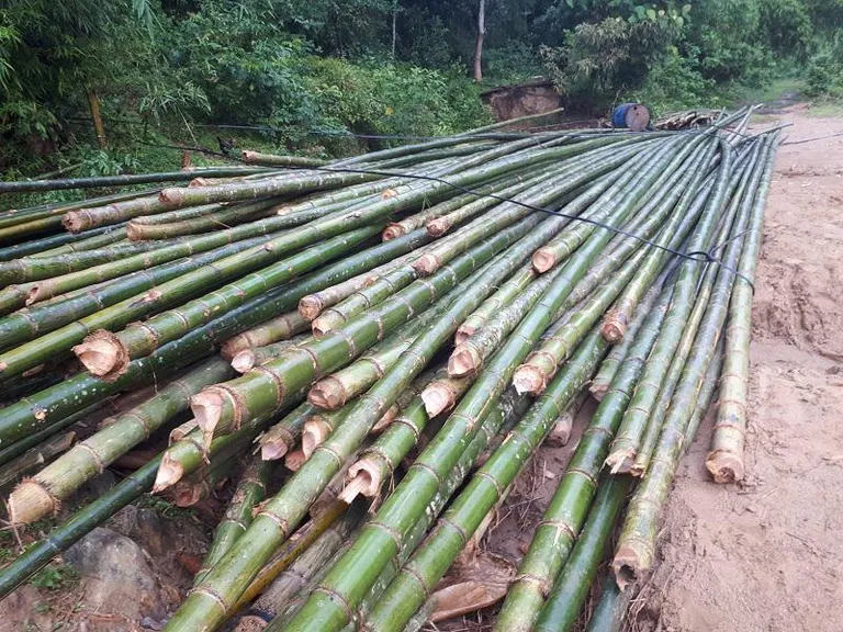 Chuẩn bị thanh tre để làm diều