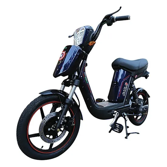 Xe đạp điện giá rẻ tiềm ẩn nhiều rủi ro