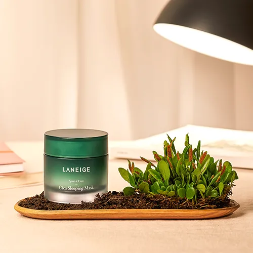 Cách dùng mặt nạ ngủ Laneige Cica