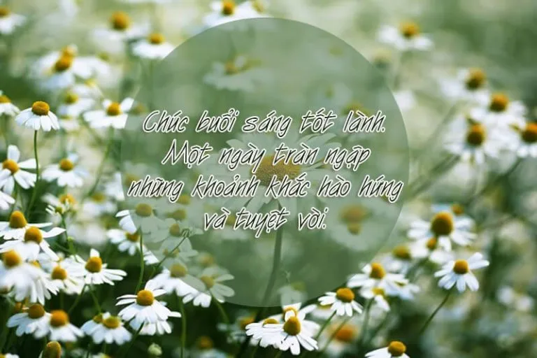 Tình bạn là món quà vô giá