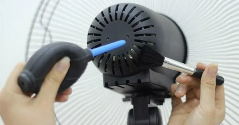 Cách vệ sinh và bảo dưỡng quạt cây đúng cách để quạt bền lâu