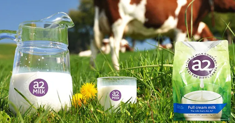 Giải Mã Sữa A2: Dành Cho Trẻ Mấy Tuổi & Có Tăng Chiều Cao Không?